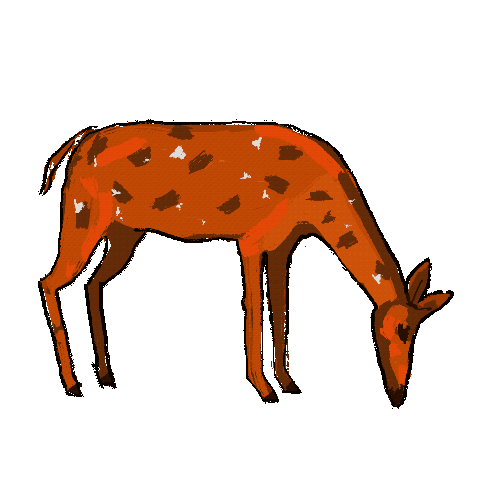 Animated GIF overlay