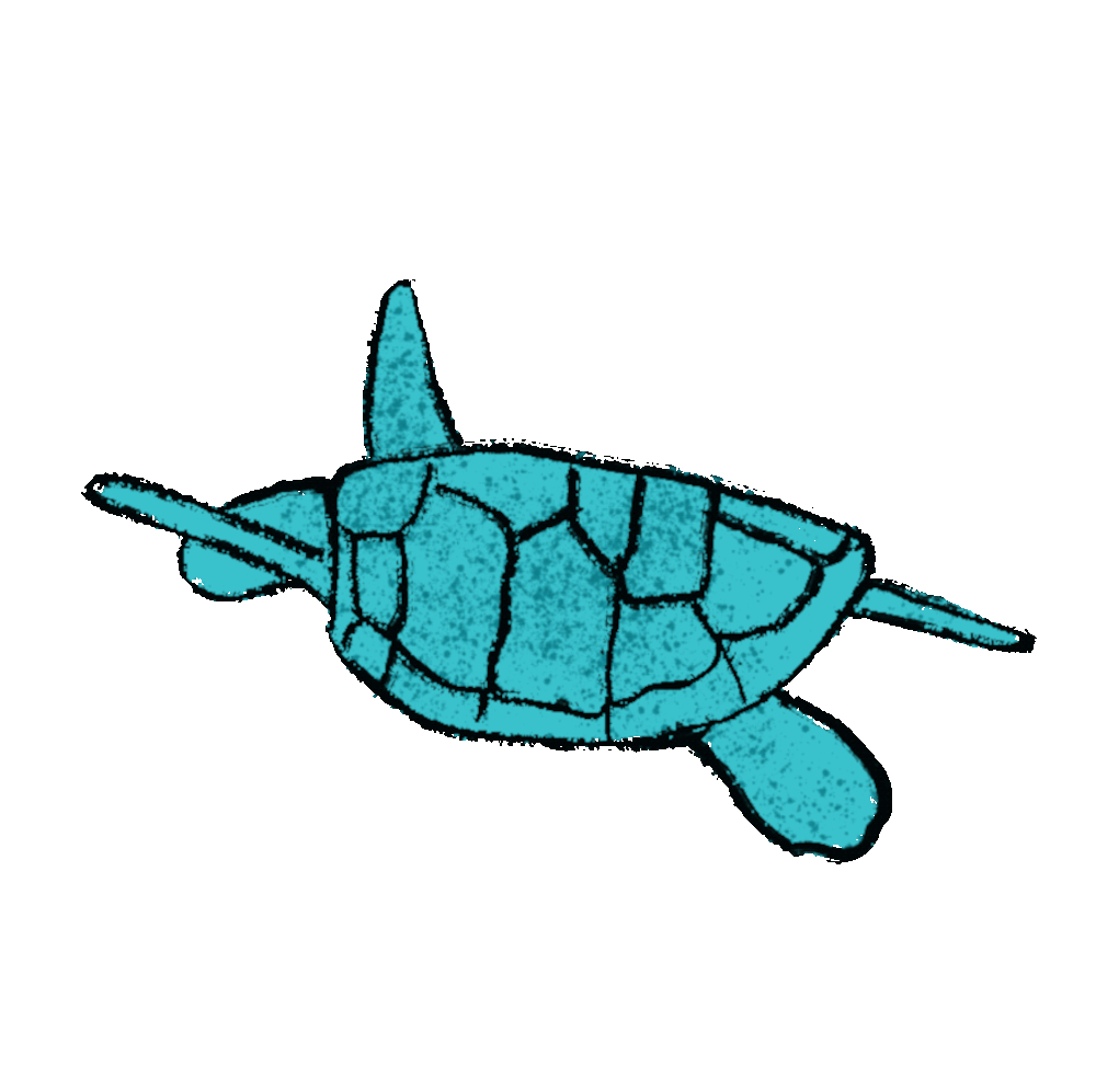 Animated GIF overlay